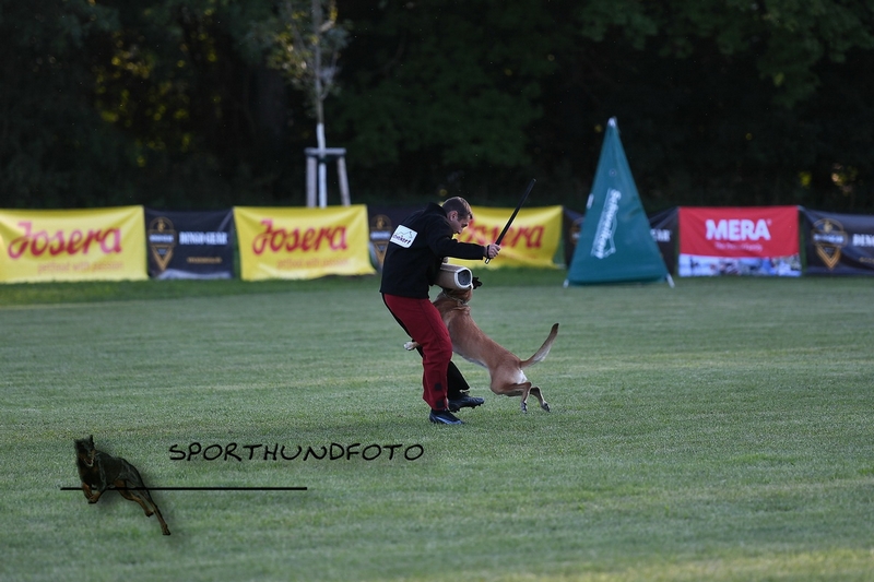 Impressionen 298.jpg